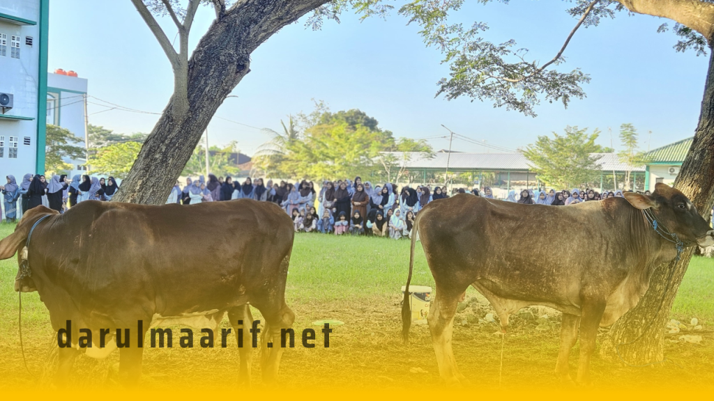 Prosesi Pemotongan Hewan Qurban di Pondok Pesantren Darul Ma’arif Kaplongan Indramayu – Pondok Pesantren Darul Ma’arif