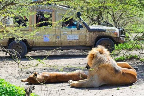 10 Destinasi Wisata Alam Liar Terbaik di Dunia