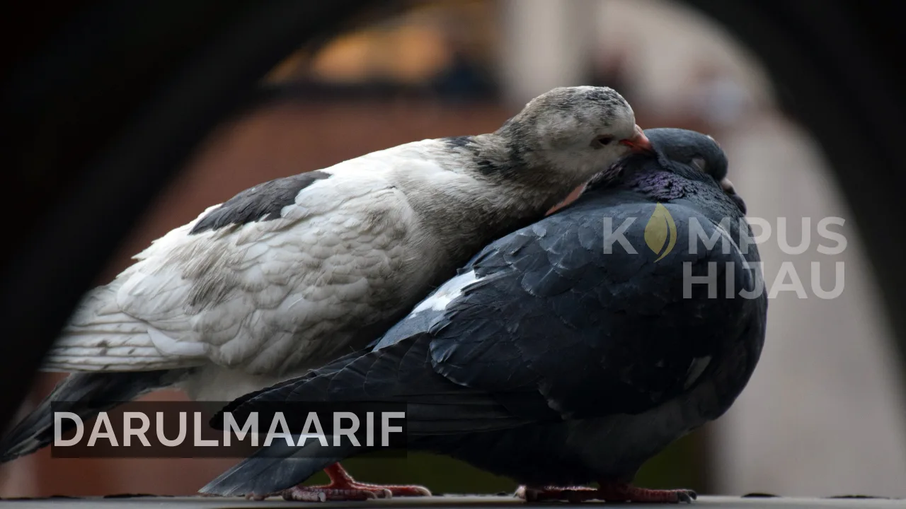 Sering Ditanyakan: Apakah Semua Gaya Hubungan Suami Istri Diperbolehkan?
